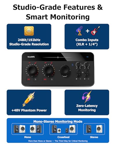Professional Home Recording Interface