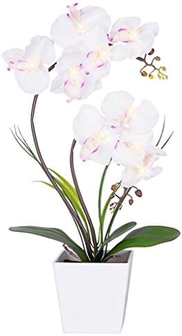 FLCSIed Floristlighting LED Lighted Artificial Orchid Arrangement-Battery Operated Orchid Pot with 9 Lights (White)