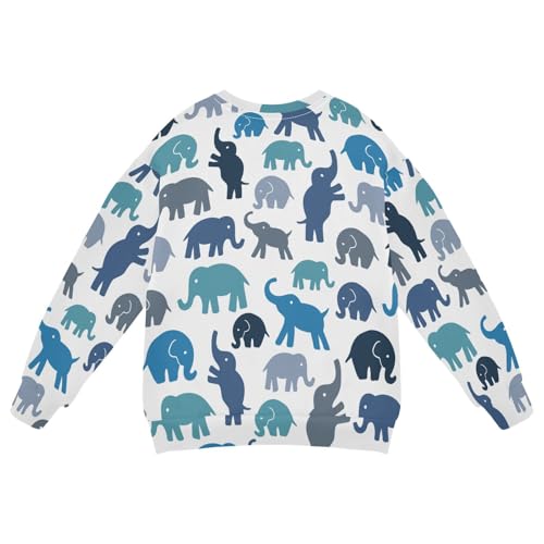 Aflyko Animal Boys Girls Pullover Sweatshirt Novelty Sweater Winter Fall Outfit2