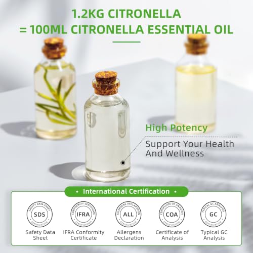 Image of HIQILI Citronella Oil for Diffusers & Homemade Sprays | Large Volume Ideal for Outdoor & Indoor Use, A Professional Choice for DIY Sprays Soap & Candles - 500mL / 16 fl oz