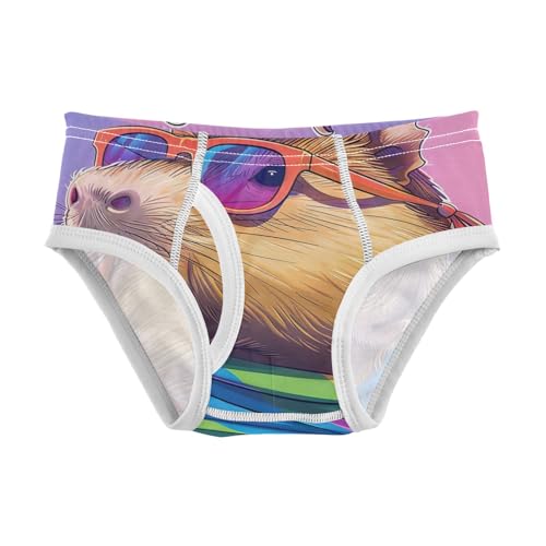 ODAWA Capybara Rainbow Funny Tag Free Toddler Cotton Underwear, 2T Underwear