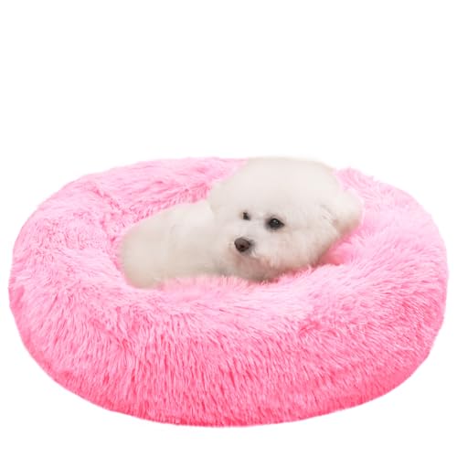 ZurZur �L �� �N�b�V���� �y�b�g�x�b�h �ӂ�ӂ� �������� �������薰�� �g���� �h�[�i�c ���E���h�^ ���� �h�� �����΍� �􂦂� ����~�� �ӂ��ӂ��L�����p �\�t�@�[ �ʔN �y�b�g�p�i