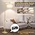 Boncoo Gold Floor Lamp, Montage Modern Standing Lamp with Flexible Lamp Head, Dimmable Floor Lamp for Living Room Tall Over Couch Reading Light for Bedroom, Office, 9W LED Bulb Included
