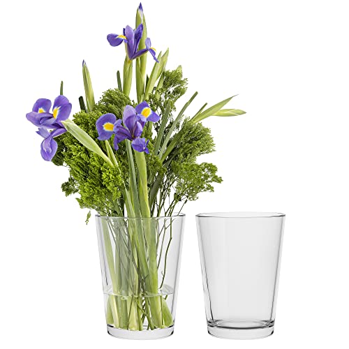 TREND FOR HOME Blumenvase 20 cm Set von 2 Vase Glas Glasvase für Blumen...