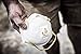3M Sanding and Fiberglass Valved Respirator , 1ea/pk, 12 pks/cs