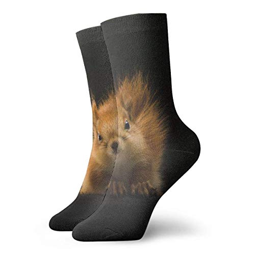 tyui7 Chaussettes sport respirantes pour hommes et femmes, écureuils, duveteuses rigolotes en polyester drôles, brun, 30 cm (11.8 pouces)