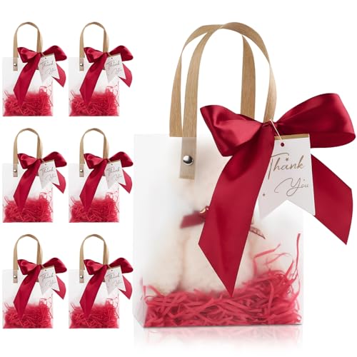 Sopoloray 12 Pack Small Clear Plastic Gift Bags with Handles,5.12x2.76x5.91 Inch Party Favor Bags with Ribbons Raffia Paper Tags,Reusable Plastic Gift Wrap Bags for Wedding Birthday Baby Shower(Red)