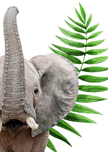 Kit débutant point de croix feuilles d'éléphant, idée cadeau Noël DIY