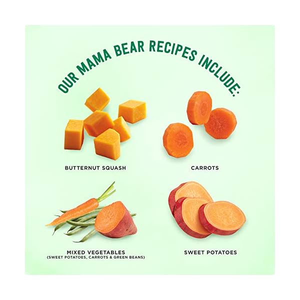 Amazon-Brand-Mama-Bear-Organic-Baby-Food-Vegetable-Variety-Pack-4-Ounce-Tub-Pack-of-12 Amazon Brand - Mama Bear Organic Baby Food, Vegetable Variety Pack, Butternut Squash, Carrots, Mixed Vegetables, Sweet Potatoes, 4 Ounce Tub, Pack of 12