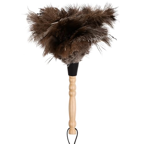 Plumero de Plumas de Avestruz, Plumero Plumas con Mango de Madera Plumero de Avestruz Premium Antiestático para Hogar Limpieza, 12.6' (32cm)
