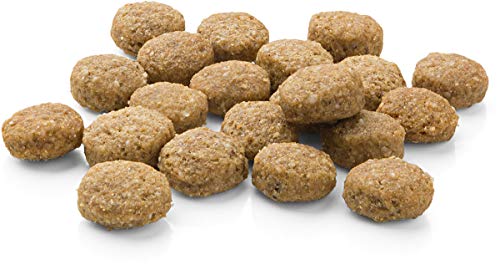 MERA Pure Sensitive Junior Truthahn und Reis Welpenfutter – Trockenfutter für die tägliche Ernährung nahrungssensibler Welpen & Pure Sensitive Adult Truthahn und Reis Hundefutter
