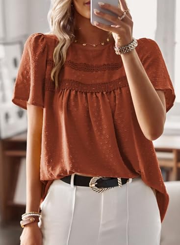 Image of Falechay Womens Summer Tops Crewneck Short Sleeve Shirts Casual Chiffon Blouses Flowy Lace Hem Boho Clothing Trendy 2026
