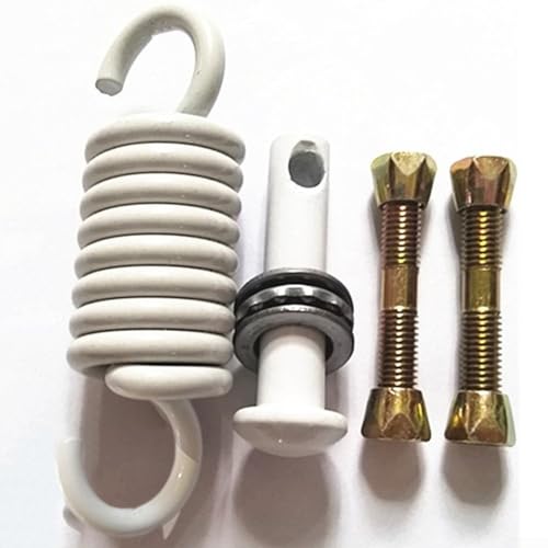 DAZZLEEX 1 set di ganci a molla per sedia sospesa, gancio a molla per sedia a dondolo, massimo 250 kg (bianco)