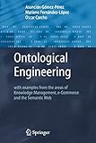  Ontological Engineering: with examples from the areas of Knowledge Management, e-Commerce and the Semantic Web. First Edition (Advanced Information and Knowledge Processing)