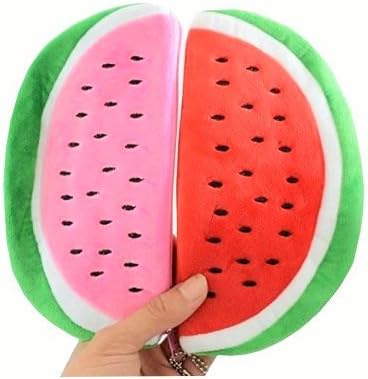 VlueVille Pencil Case Cosmetic Pouch (2 pcs. watermelon pink and red)