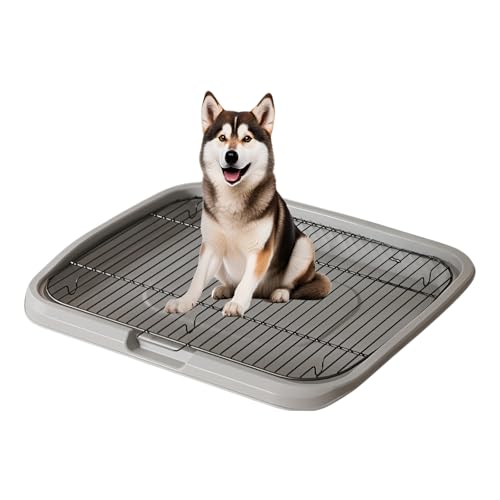 [lalarimi]ygC ͂ h?z^p SΉ ݌vŊȒP ARh~ ϙPPf FI t[ ybggC