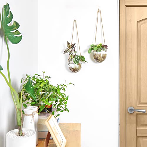Ivolador Wall Hanging Glass Flower Plants Terrarium Container For Hydroponic Plants, Home Office Garden Decor, Set Of 2 #TOP2