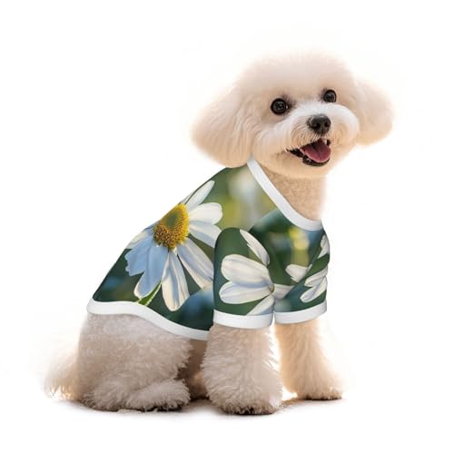 T-shirt pour chien de petite taille chemise extensible coton