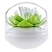 Bloss Bathroom Vanity Canister Jar for Swabs, Cosmetic Pads - Green