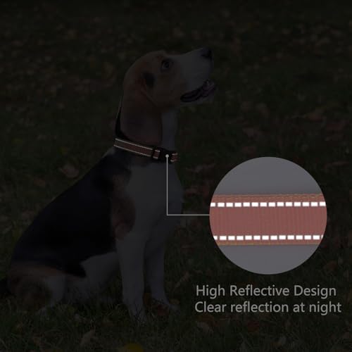 Image of Reflective Dog Collar, Adjustable Nylon for Medium Dogs,Coral
