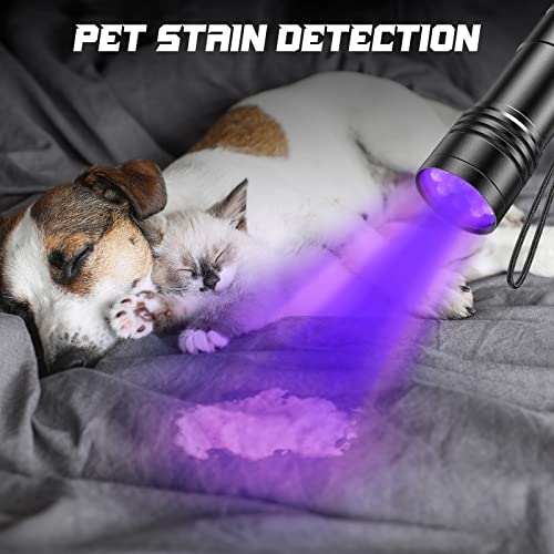 UV Taschenlampe 2 Stück Mini UV Schwarzlicht Taschenlampe mit 12 LEDs, Ultraviolettes Licht mit 395nm für Geocaching, Heimtierurindetektoren, Haustiere Urin-Detektor usw. Inklusive 6 AAA Batterie