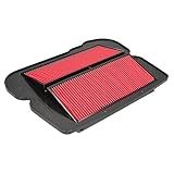 Hiflofiltro HFA1912 Premium OE Replacement Air Filter