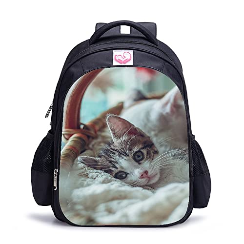 Sac à dos d'école motif chat pour les cours et le sport des ados