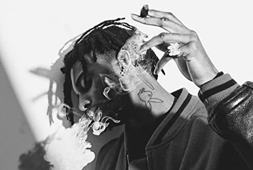 CINEMAFLIX Playboi Carti - Rapper - Hip-Hop/Trap - Music - Poster - Measures 24 x 36 inches