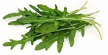 Arugula Roquette Lettuce Greens, Heirloom, 200 Seeds, Crisp