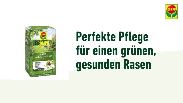 zeder baum knstlich Ib Laursen Zedernbaum S, knstlich  Das Wohngut