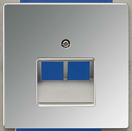 Coque JUNG GCR 2969–2 MA habillage propre de prise murale UAE bureau