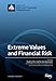 Extreme Values and Financial Risk