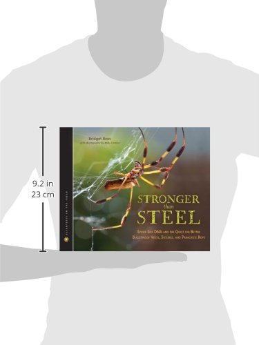 Stronger Than Steel: Spider Silk DNA and the Quest for Better Bulletproof Vests, Sutures, and Parachute Rope (Scientists in the Field Series) - Thumbnail 3