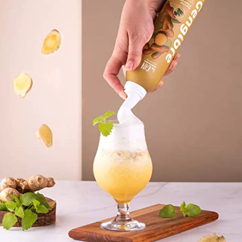 Kit com 3 Preparados para Moscow Mule + 1 Espuma de Gengibre (BEGIN)