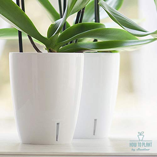 Santino 4.9 Inch Orchidea Self Watering Pots For Orchids In White - Decorative Wicking Planter With W/Great Aerification, Drainage And Water Level Indicator #TOP4