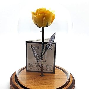 Forever Rose Enchanted Rose, Eternal a Genuine, One of a Kind, Real Yellow Rose, Hand Dipped in Lacquer with a Copper Stem and Leaves, in a Glass Dome, Beauty and The Beast