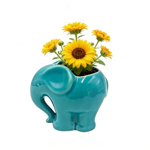 Youfui Blue Elephant Succulent Planter with Drainage...