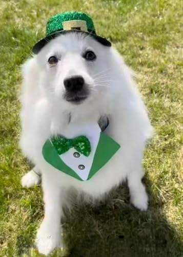 Disfraz de tuxedo para perro St. Patrick's Day talla S miniatura 4
