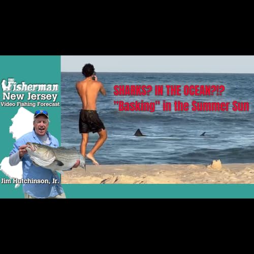 July 9th 2026 New Jersey/Delaware Bay Fishing Report with Jim Hutchinson, Jr.