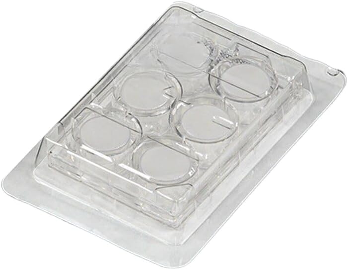1PC NEW TCS-003-024 (8um24 holes) PC membrane