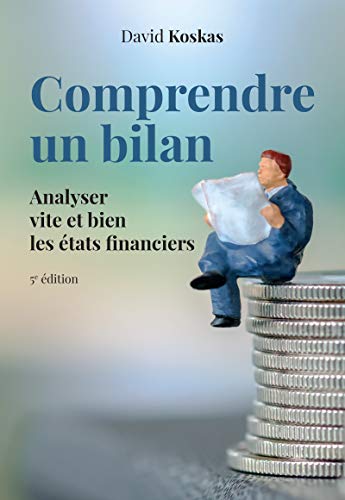 Comprendre un bilan: Analyser vite et bien les états financiers (VILLAGE MONDIAL)