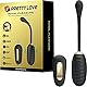BOLA KEGEL CON CONTROL REMOTO ROYAL PLEASURE