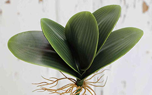 artplants.de Dekoblätter Phalaenopsis Orchidee DAPHI, Luftwurzeln, 35cm - Orchidee Kunstpflanze - Orchidee Kunststoff