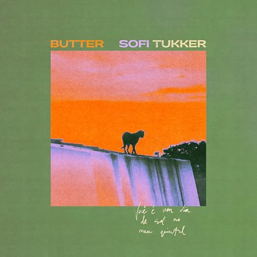butter (Vinyl) by UNIVERSAL MUSIC GROUP - Used condition - CA$21.51