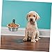 balacoo 3 Sets Wall Mounted Elevated Dog Bowl Wall Kitten Bowl Elevated Pet Feeder Dog Water Dispenser Hanging Pet Bowl Elevated Water Bowls Cat Food Basin Puppy Stainless Steel Dog Food