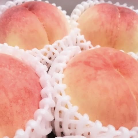 山梨の桃 プレミアムピーチ 2キロ化粧箱入り　5個か6個指定して下さい Amazon.co.jp: 【MSKSHOP】桃 山梨県産 もも 糖度12度以上 プレミアム
