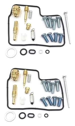 Réparation de carburateur moto Shadow VT750 résout les fuites d'essence