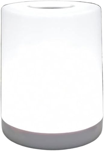 ROOMAN nightstand lamp Desktop Lamp Rechargeable Room Bedside Remote Control Touch Soft Eye Protection Night Light for Bedroom