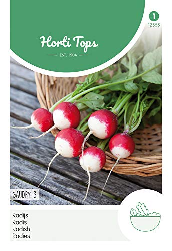 Hortitops 12558 Radies Rond Rouge Blanc Gaudry (Graines de Radis)