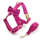 IUOUTG Puppy Girl Dog Harness and Leash Set,Easy Walk No Pull Pet Halter Harness with Bow Tie & Metal Buckle for Small Dogs S